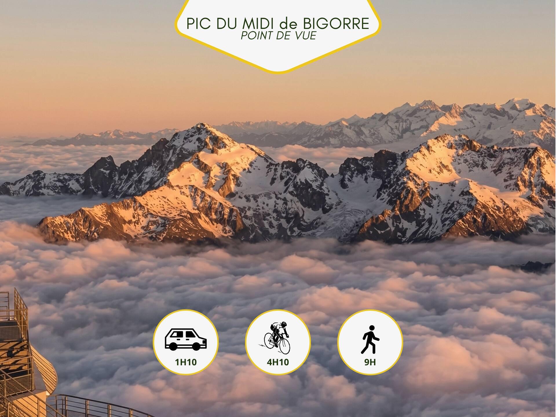 Dolce Vita — illustration 19
